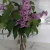 dianatonieva