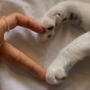 gulu_710___