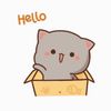 .....r4nboo.12345