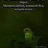 userzew9wtms8l