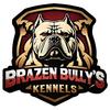 brazenbullysza