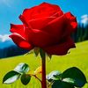 floridasuper