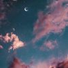 takoa.ash_4824