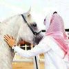 77ahmed839