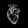 rehan_m_a