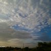 frank_herrera19