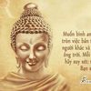 dukephan0325