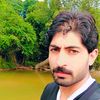 majidgull39