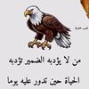 umyeamen123456