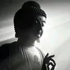 vanduyen6767