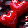 user13897424505731