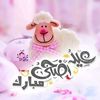 abdalrahman.060