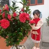 ngocnguyet5