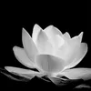 huong19996_