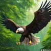 coolhand_70