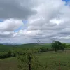 omeuamoreonordestern