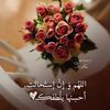 omadel584