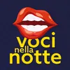 Le Voci nella Notte