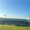 wellsy_tc1
