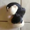 baccaspra