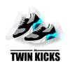 Twin_Kicks