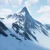 ass.frost