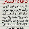 user4033679457392