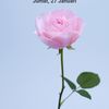 jake798344