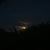 nyenz_11