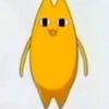 hello_everyone_0mg