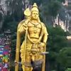 prabhavathi431