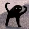 2901h81