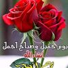 user7911802577184