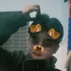 deardauyne1