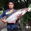 อนุกูล คหินทพงษ์
