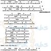 stefan_168168