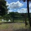 Sítio Terra Branca