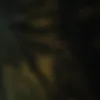 l6_d4