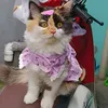 yulidela123