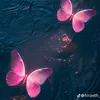 thuy_nek0803