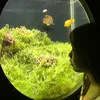 tamie_luuly