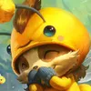 cpt.beemo