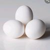 genericbrandeggs