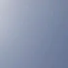knv8_31