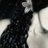 flahslvr.05