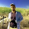dr.mohamedamiin