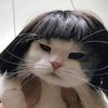 mmichelle024