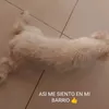elmascapito_feli12