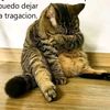 user155827096448