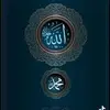 user7207011478212